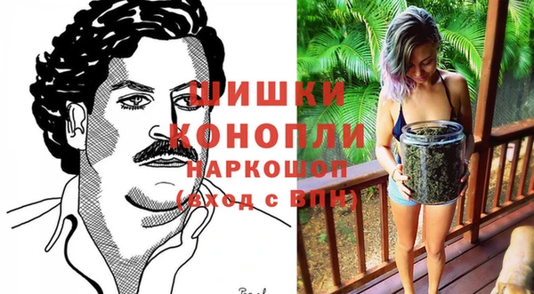 стаф Белоозёрский