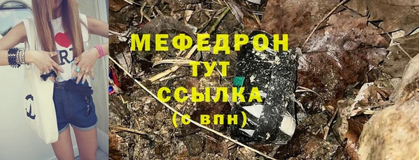 прущие грибы Беломорск