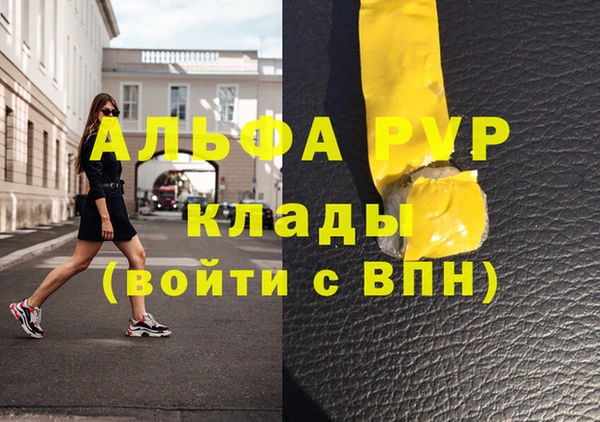прущие грибы Беломорск