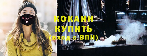 прущие грибы Беломорск