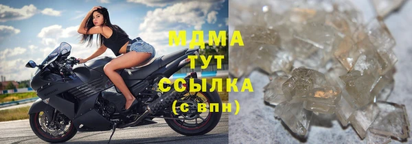прущие грибы Беломорск