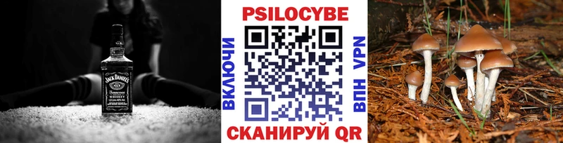Галлюциногенные грибы MAGIC MUSHROOMS  купить закладку  Новая Ляля 